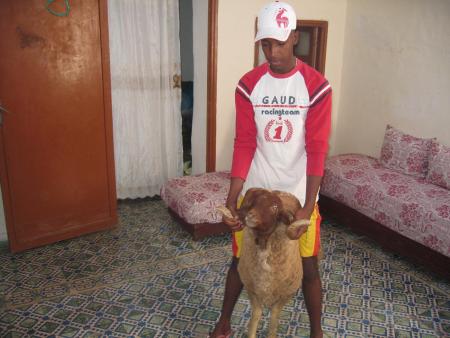 kabch d sbou3